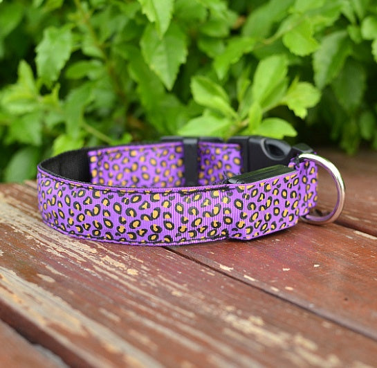 Glow in Style: Rechargeable LED Leopard Safety Collar for Night Walks