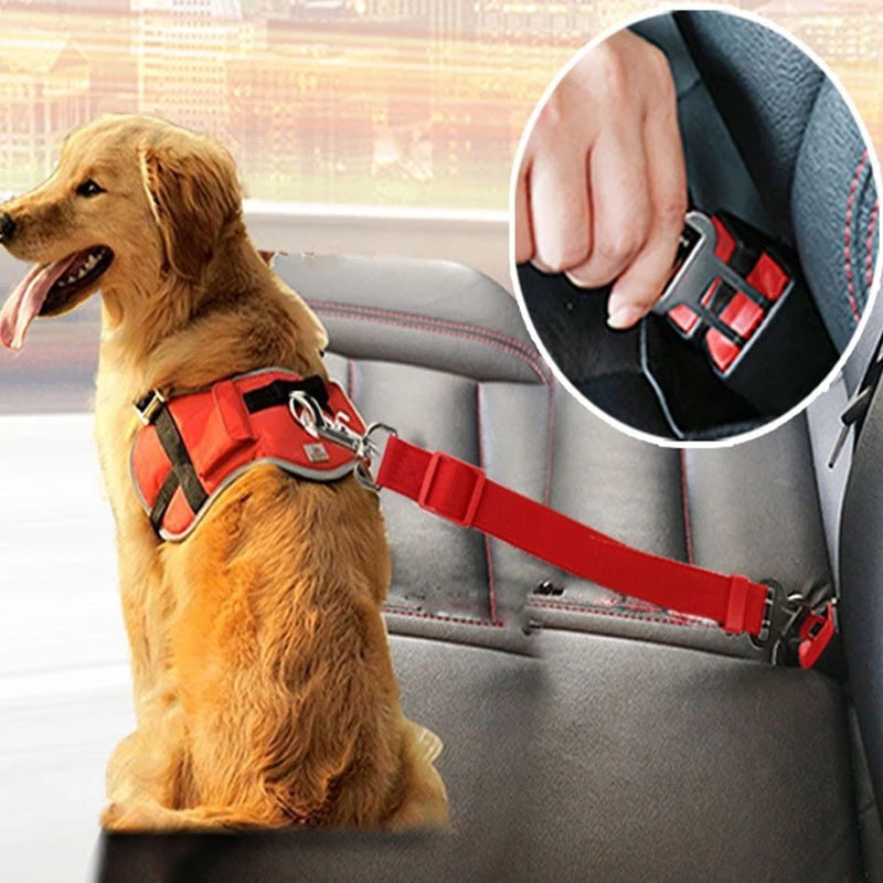 Pet Seat Belt Keeps Your Furry Friend Safe While Driving - fordogsakes.com