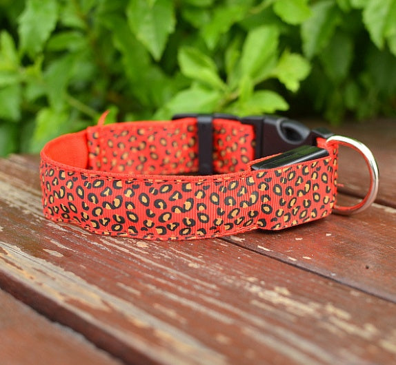 Glow in Style: Rechargeable LED Leopard Safety Collar for Night Walks