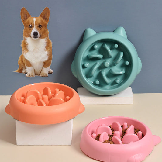 Paws Off the Rush: Anti-Gulping Slow Feeder Bowl!