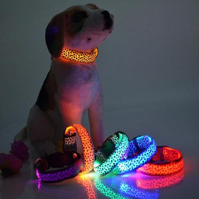 Glow in Style: Rechargeable LED Leopard Safety Collar for Night Walks