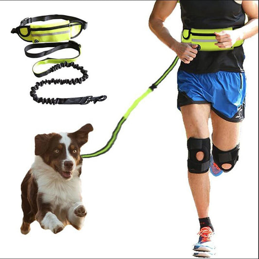 Freedom Leash: Hands-Free Dog Walking & Training Belt.