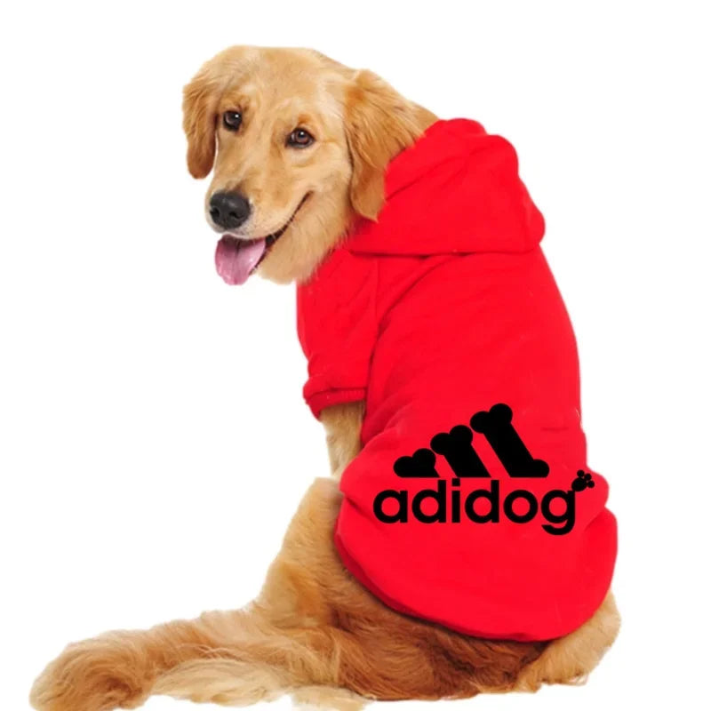 Beautiful Winter Jacket for Your Dog - fordogsakes.com