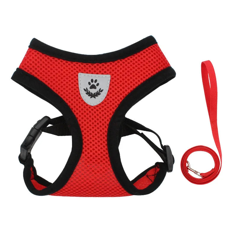 Great Harness For Smaller Dogs - fordogsakes.com