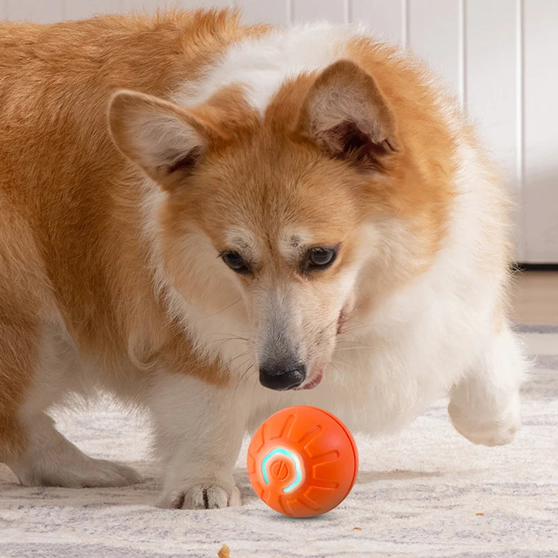 Puppy Playtime: Smart Jumping & Rotating Dog Toy!