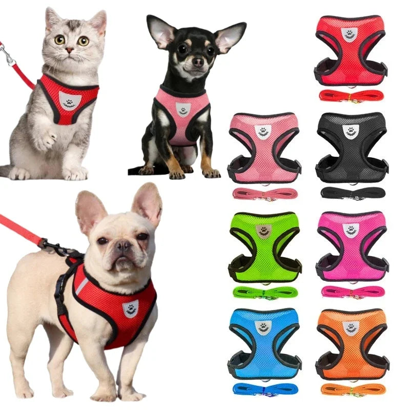 Great Harness For Smaller Dogs - fordogsakes.com