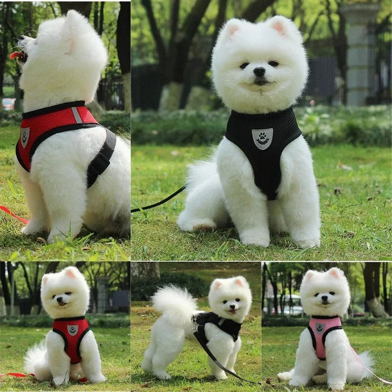 Great Harness For Smaller Dogs - fordogsakes.com