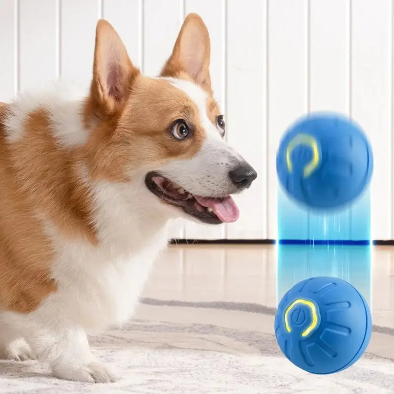 Puppy Playtime: Smart Jumping & Rotating Dog Toy!