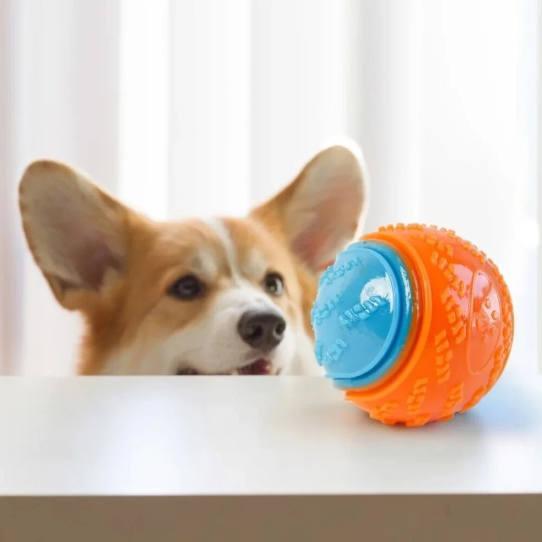 Fun Bite-Resistant Long Lasting Rubber Pet Toy