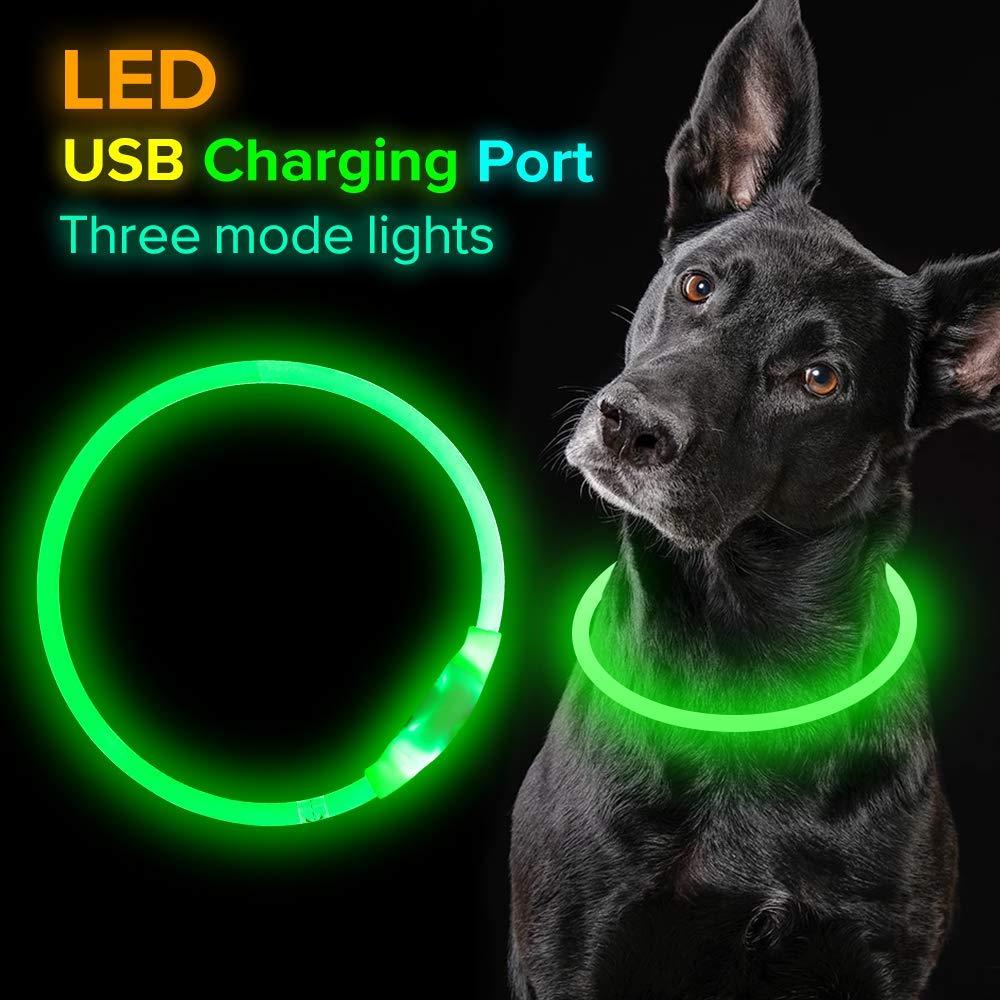 Coolest Flashing Collar for Added Safety - fordogsakes.com