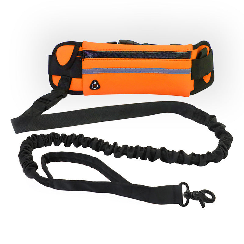 Freedom Leash: Hands-Free Dog Walking & Training Belt.