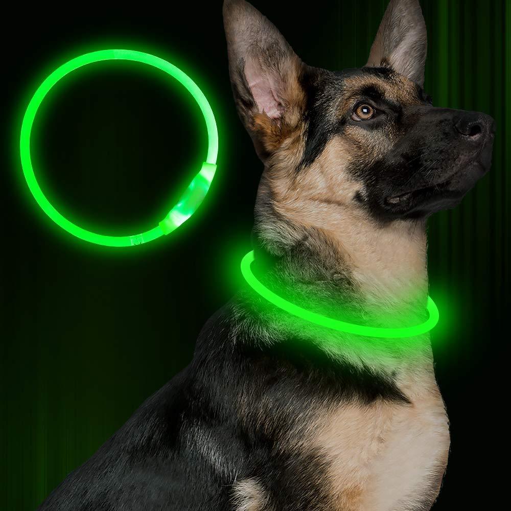 Coolest Flashing Collar for Added Safety - fordogsakes.com